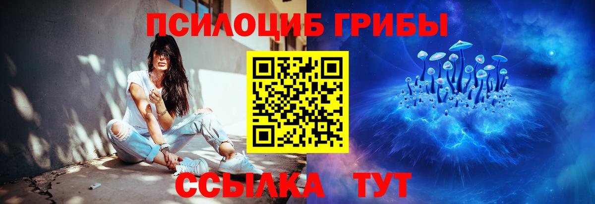 Вязники  хочу наркоту  Вход с VPN  Галлюциногенные грибы Cubensis 